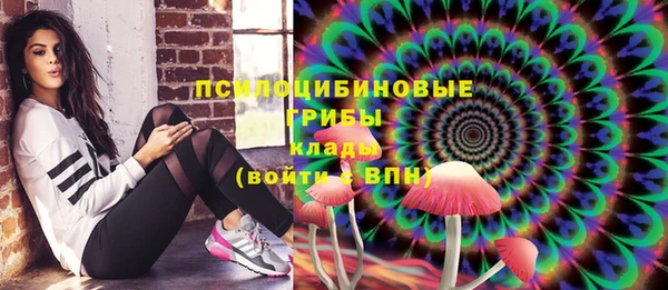 винт Алексин