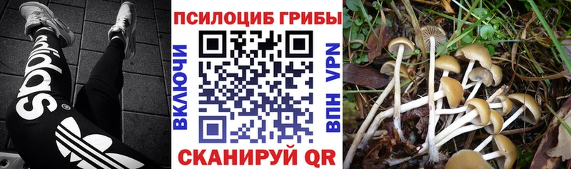 Галлюциногенные грибы прущие грибы Каневская